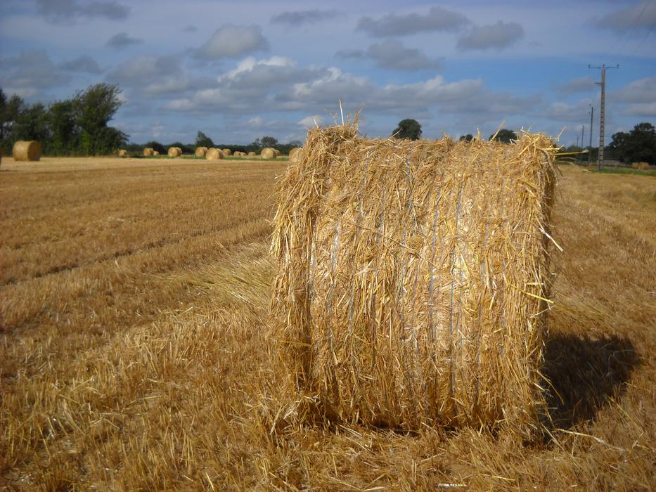 Harvest haybale