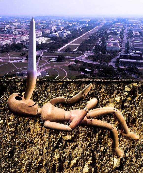 Wood Doll Pinoccio Policy Election