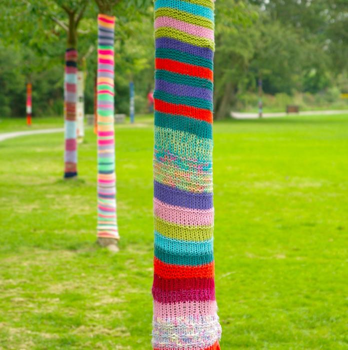 row of Trees with striped Knitting on trunks