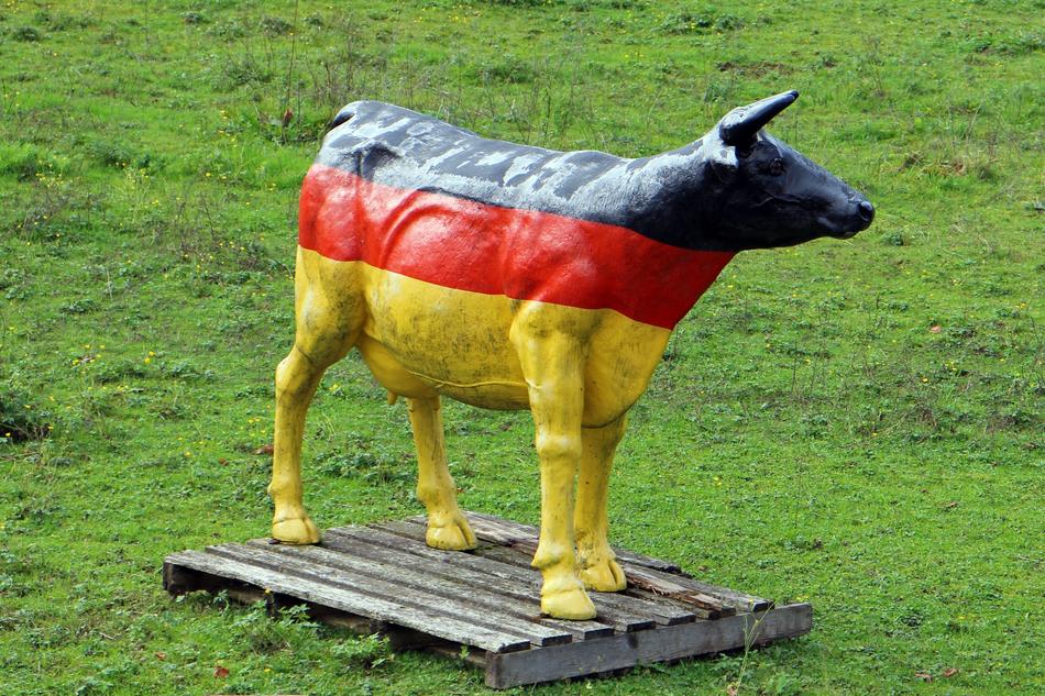 Cow Decoration Deco