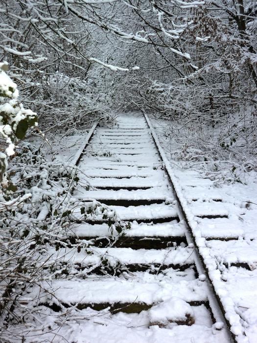 Track Winter Train