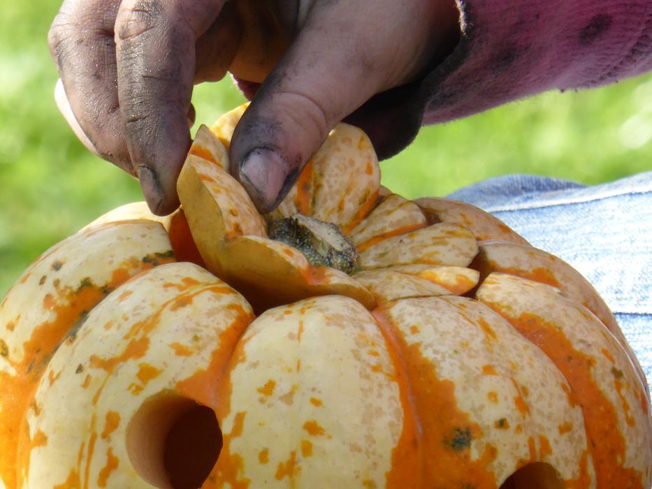 Tinker Pumpkin Play