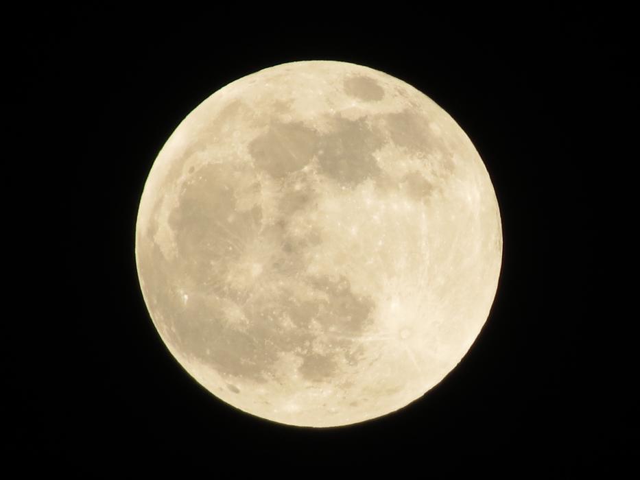 Full Moon Night