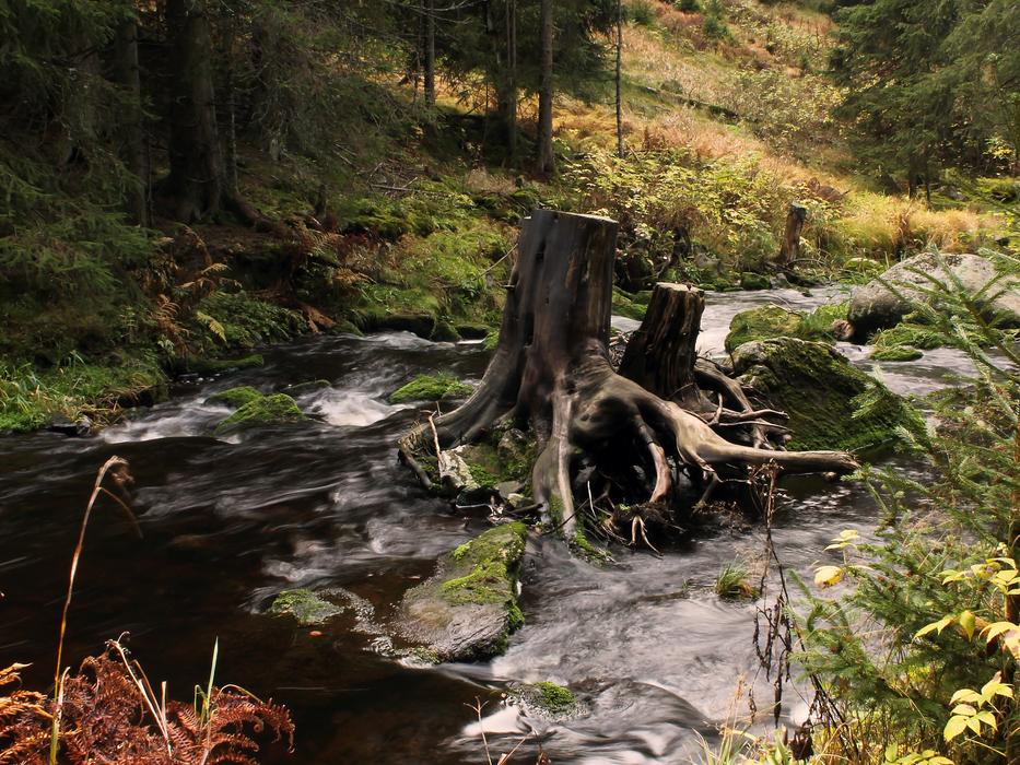 Strain Water