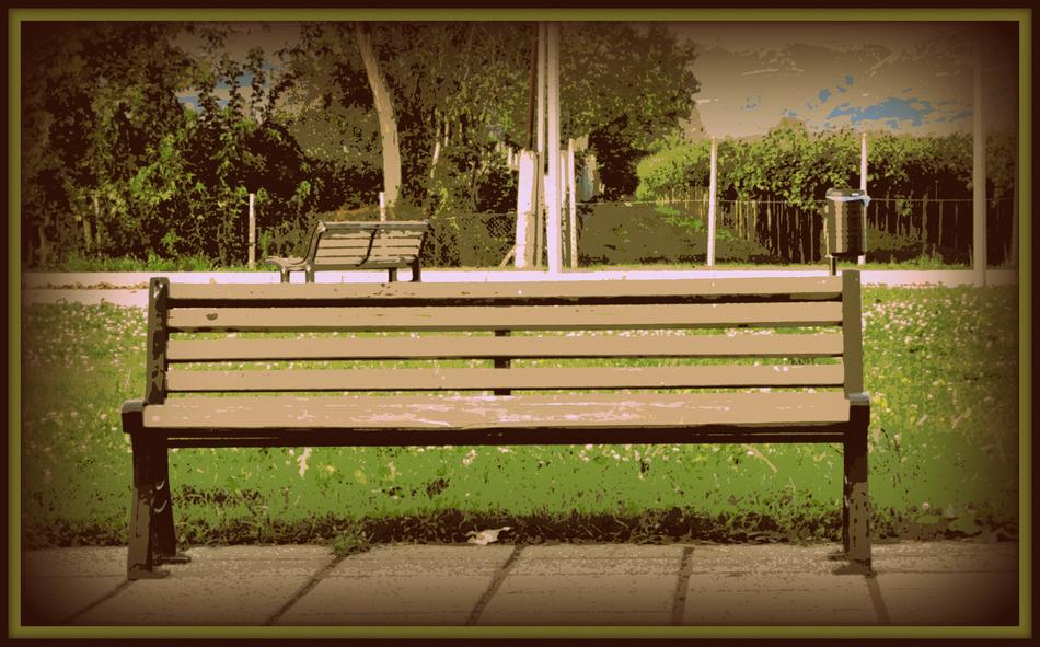 bench on street in garden