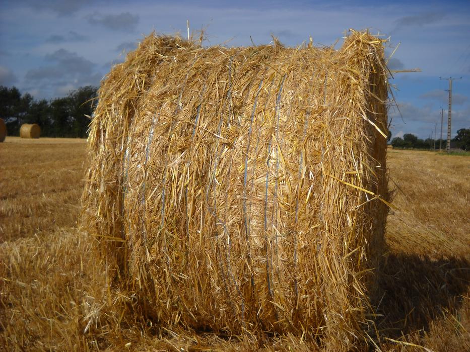 Straw Field Boot