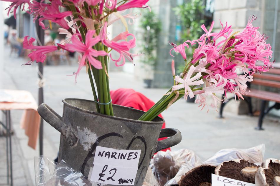 Nerines Market Flowers