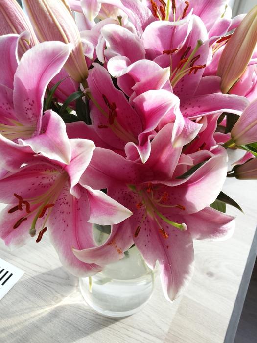 Vase Of Flowers Lilies
