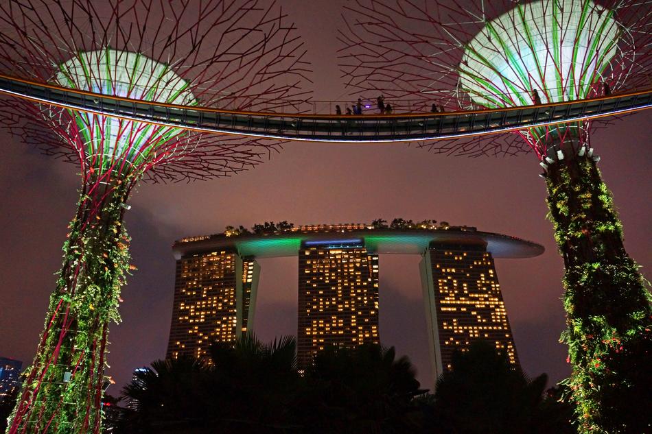 Marina Bay Big Tree Gardens By The