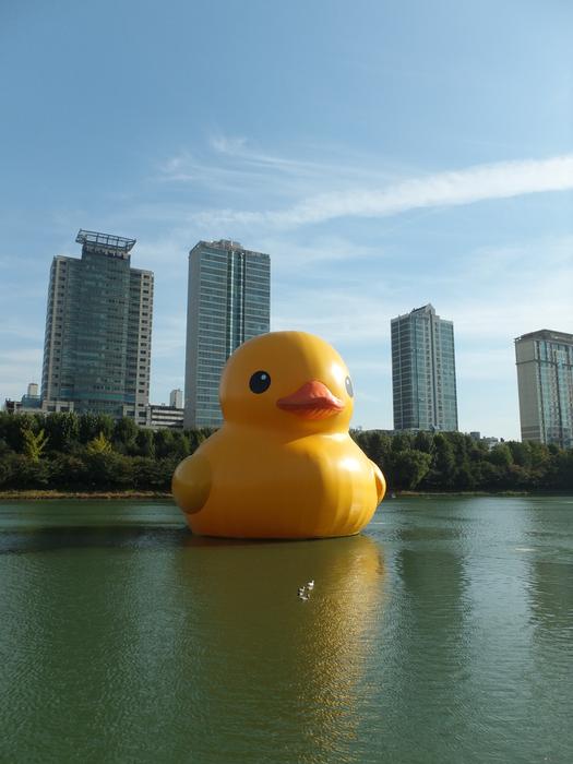 Rubber Duck Jamsil Songpa Seokchon