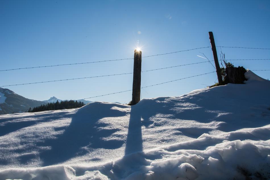 Winter Sun Snow
