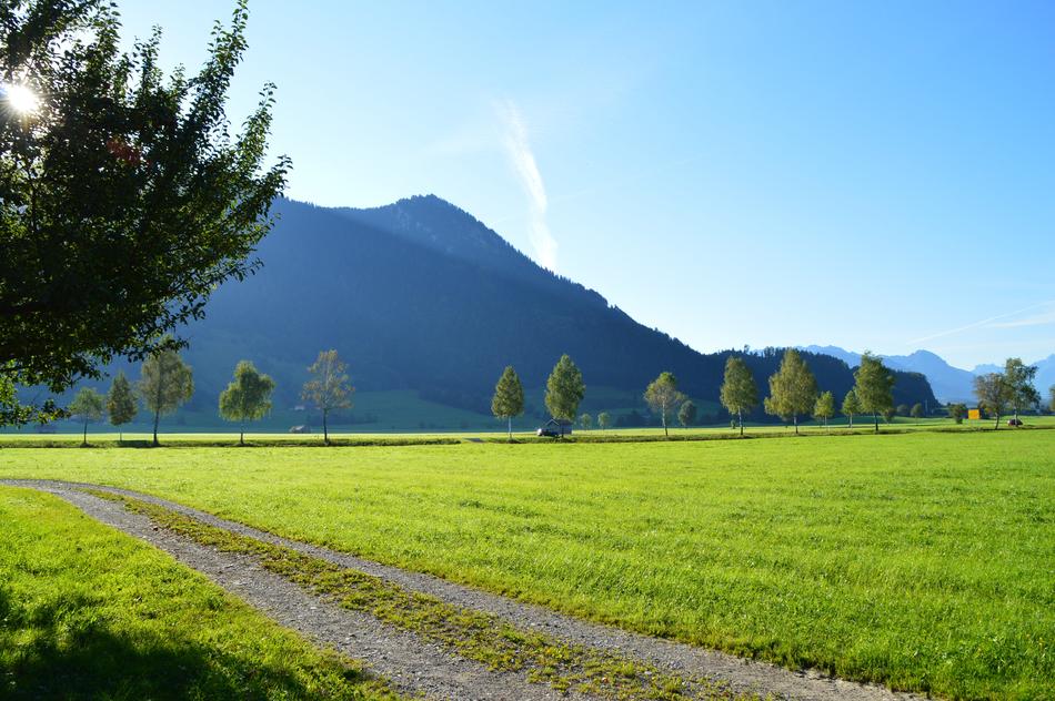 Sunrise Meadow Agriculture Late