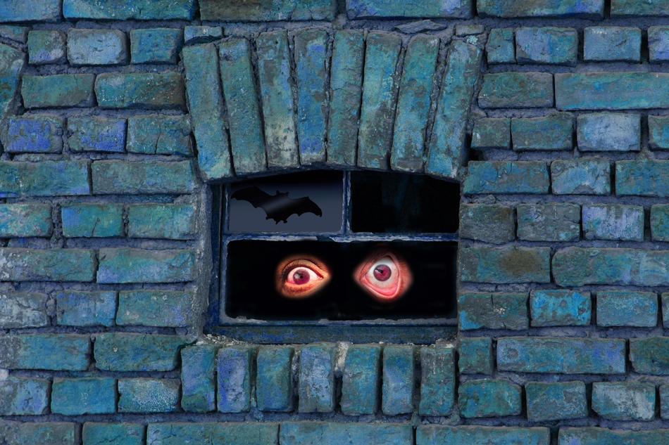 Big eyes staring through the darkness of the window