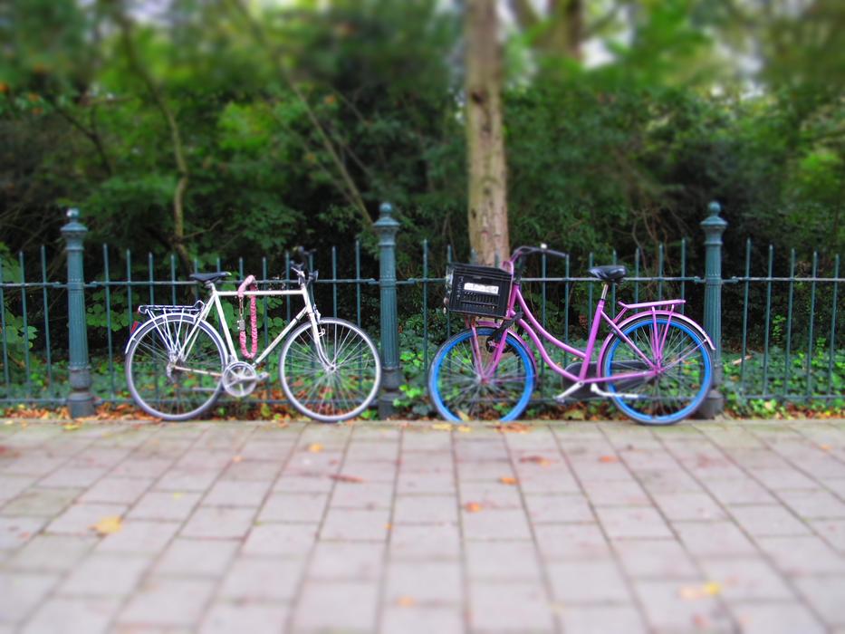 Bicycle Holland Amsterdam
