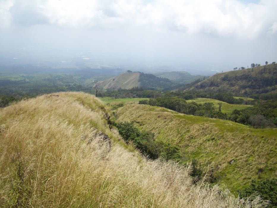 Mount Arjuno The Meadow