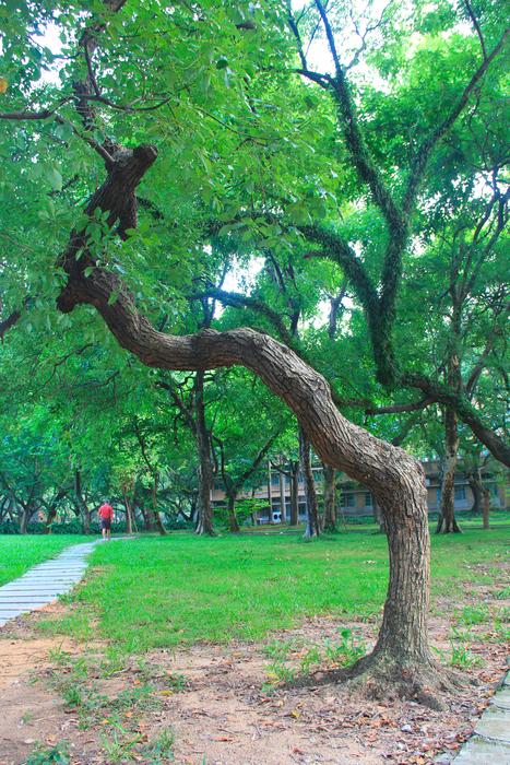 Canton Sun Yat-Sen University