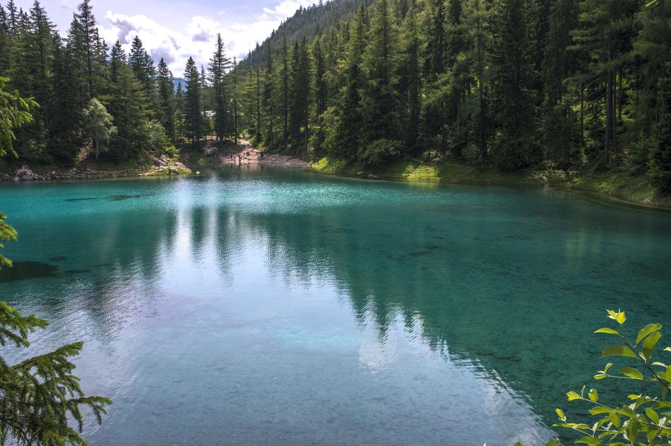 Lake Water Mirroring Green