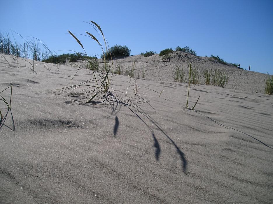 sand Dune Lithuania Kursska