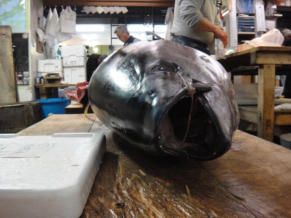 Fish Market Tokyo