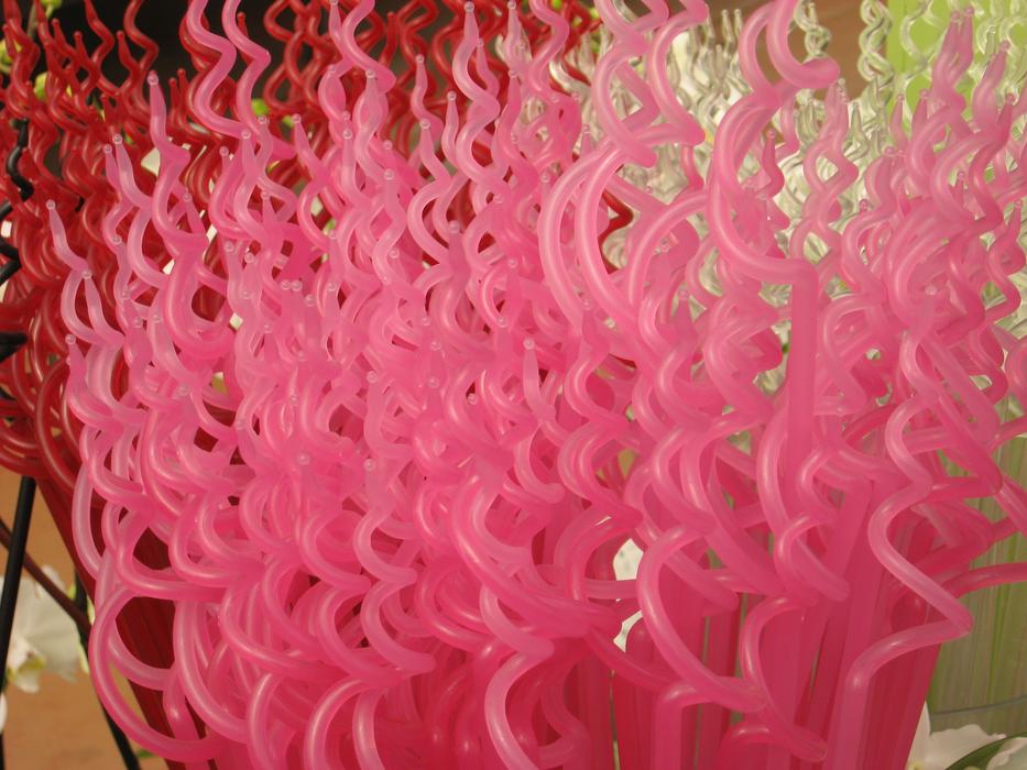 pink Flowers Strut Intratuin