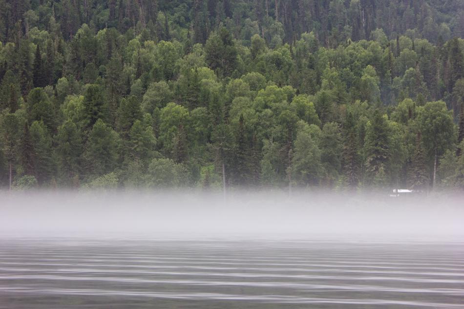 Altai Foggy Lake