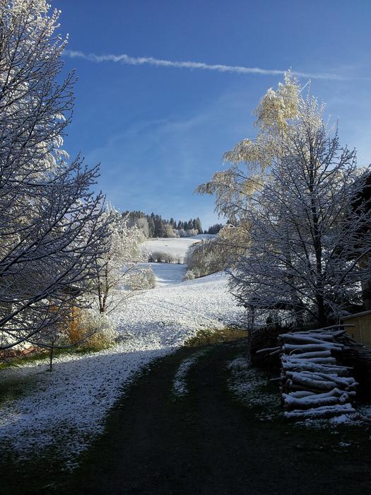 Wintry Winter Snow