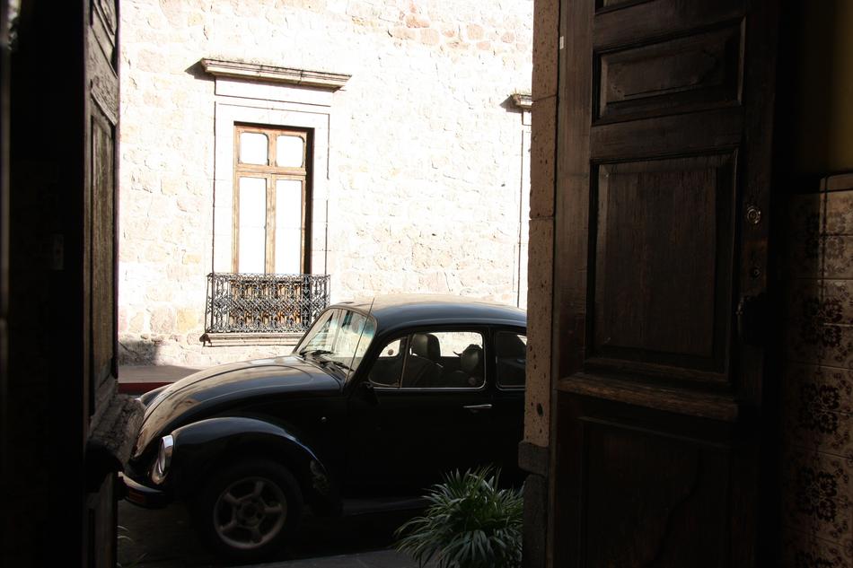 Beetle Door Future