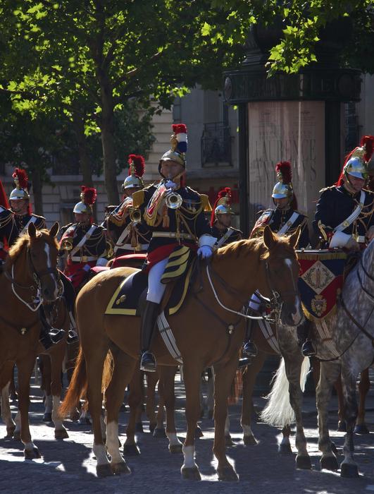 Trumpet Fanfare Staff Captain horses