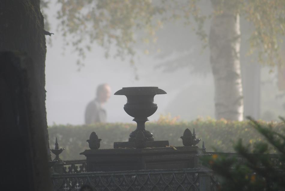 Fog Cemetery Light