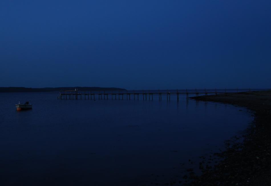 Web Lake Night