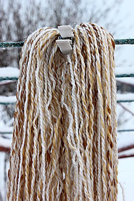 Brown Thread at Winter