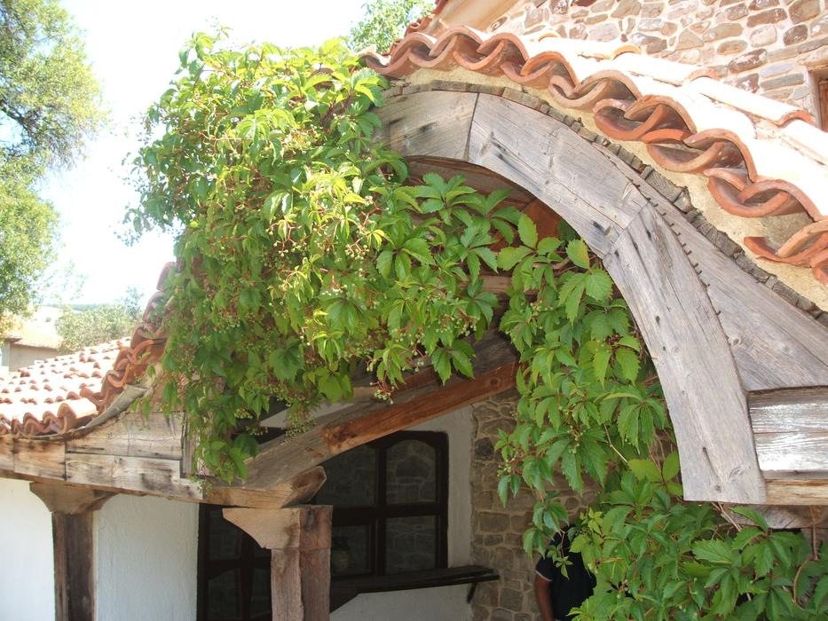 Monastery Roof Overgrown