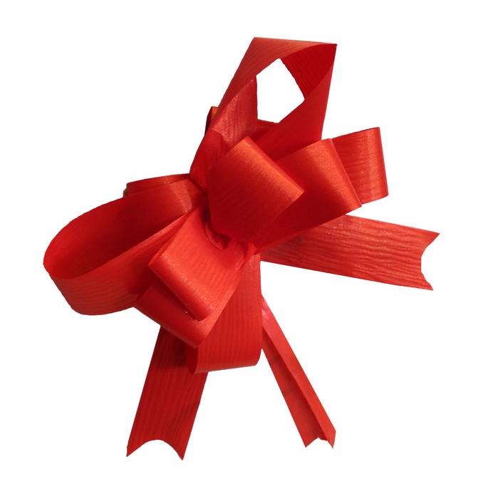 Loop Red Christmas