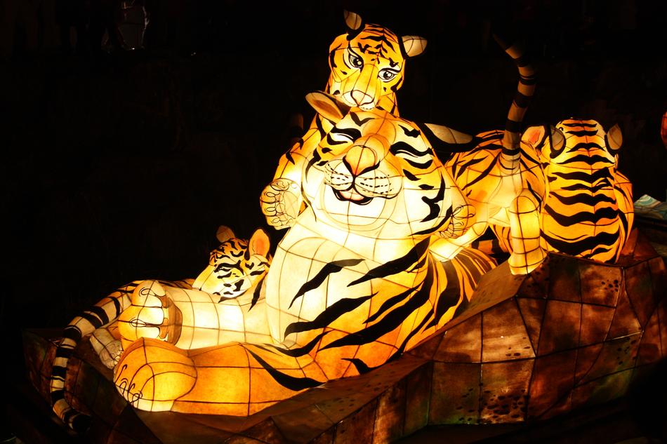 Tiger Lantern Festival