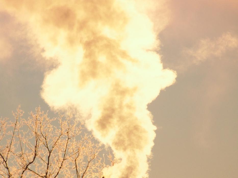 Light Steam Morning