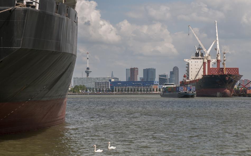 Rotterdam Port Boat