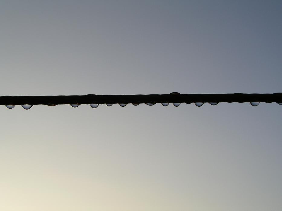Dawn Drops Line
