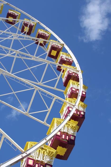 Ferris Wheel Amusement