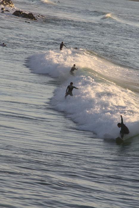 Surf Biarritz Wave