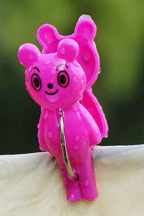 Clothes Peg Bear
