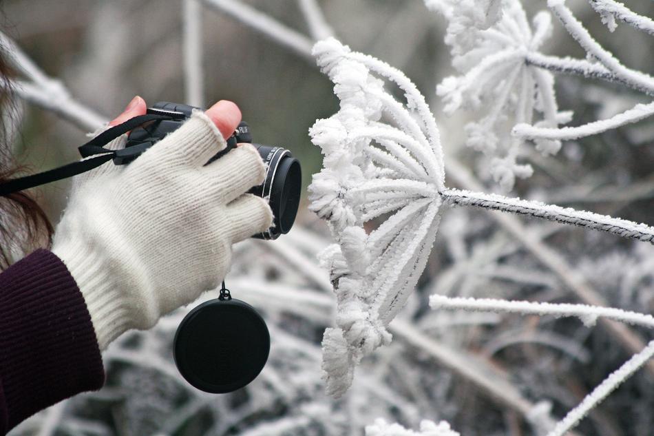 Camera Winter Frozen hand