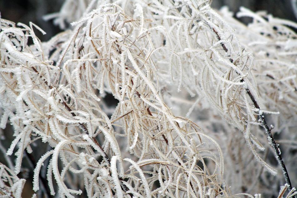 Winter Frozen Icing