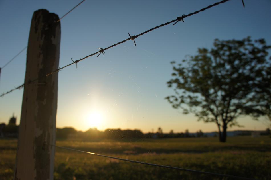 Barbed Wiring Fence