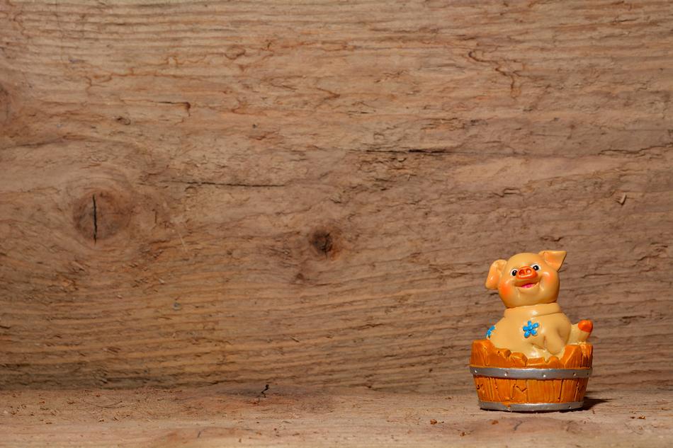 Lucky Pig bathing in bowl, funny figurine at wooden background