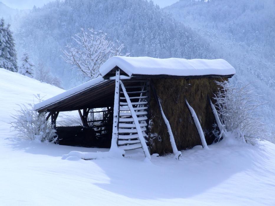 Winter White Hayrack