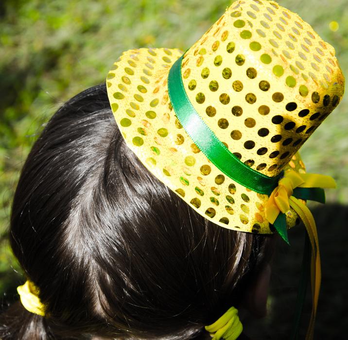 Party Hat on Head Top