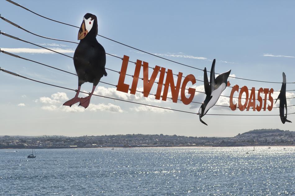 Sign Signage Puffin