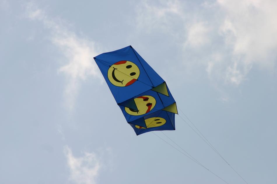 Aviator Float Kites Kite