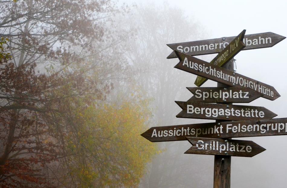 Fog Directory Decisions