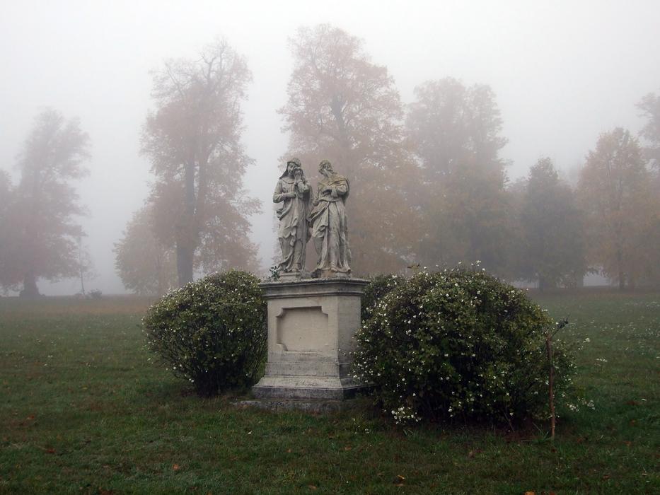 Slovakia Fog Trees